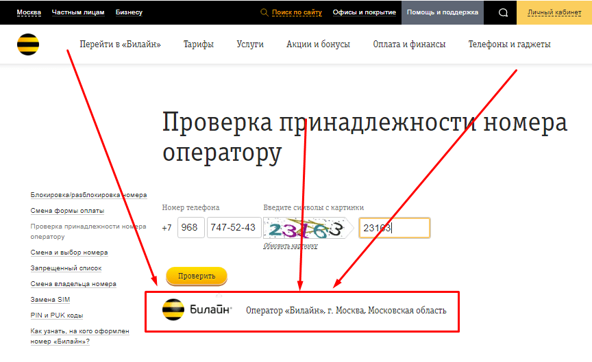 Как узнать, кому принадлежит номер телефона Билайн 